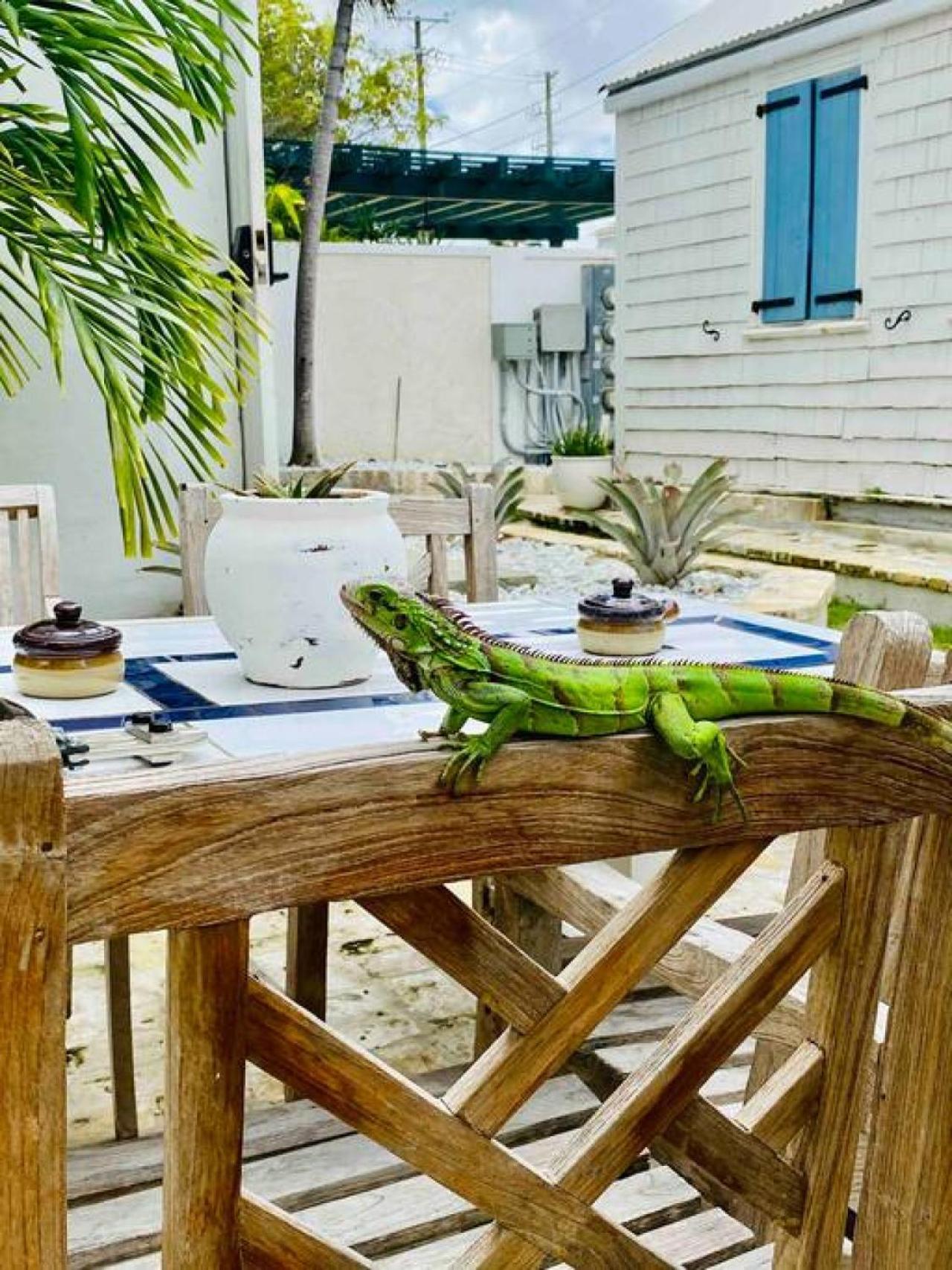 Appartement The Captains Quarters - A Relaxing Nautical Abode à Christiansted Extérieur photo